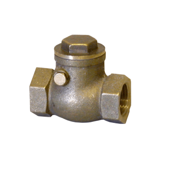 Valve Non Return Swing Check