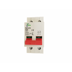 Isolator Din Rail 63a Double Pole