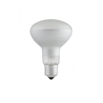 Globe Reflector
