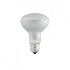 Globe Reflector