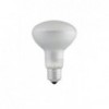 Globe Reflector