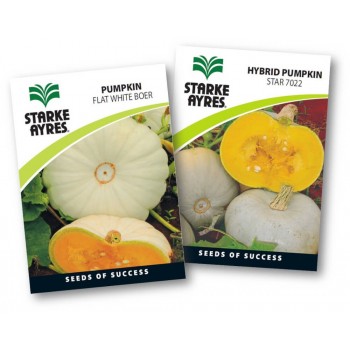 Seed Pumpkin