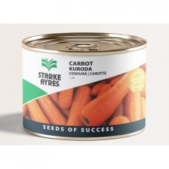 Seed Carrot Kuroda 50g