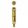 Eureka Expansion Wall Anchor Bolt 6x55mm Quantity:60