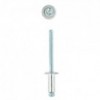 Eureka Rivet 48x12mm Quantity:15
