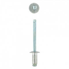 Eureka Rivet 48x10mm Quantity:100