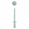 Eureka Rivet 48x10mm Quantity:100