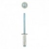 Eureka Rivet 48x15mm Quantity:100