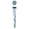 Eureka Coach Screw Galvanised Mild Steel 10x75mm Quantity:6