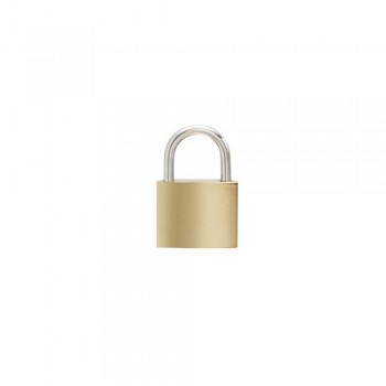 Padlock Iron 30mm, Security Plus, Brass Plated, 2 Keys