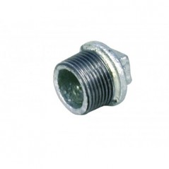 Galvanised Plug 22mmx2