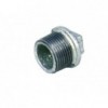 Galvanised Plug 22mmx2