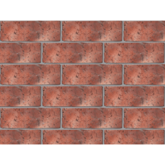 Jem Plaster