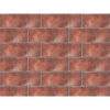Jem Plaster