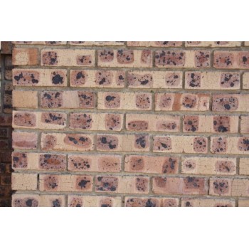 Cameo 3 Face Brick