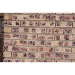 Cameo 3 Face Brick