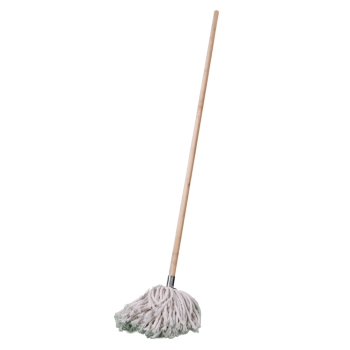 Mop And Handle W2