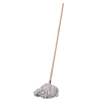 Mop And Handle W4
