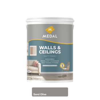 Medal Walls And Ceilings 5L Sand Olive, MEDAL - Cashbuild