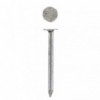Eureka Nail Clout Semi 25mm Quantity:250G, EUREKA - Cashbuild