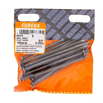 Eureka Nail Wire Flat Head 100mm Quantity:200G, EUREKA - Cashbuild