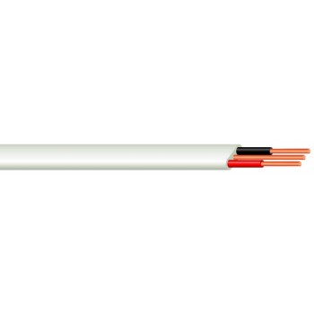 Surfix Cable SABS Flat Twin & Earth 2.5mmx10M,  - Cashbuild