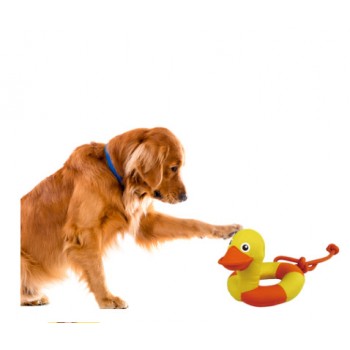 Plush Duck Floating Dog Toy, Pawise - Cashbuild