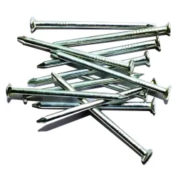 Concrete Nails - 50mm