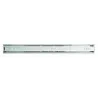 Ball Bearing Slide H42mm 0.8mm 350mm,  - Cashbuild