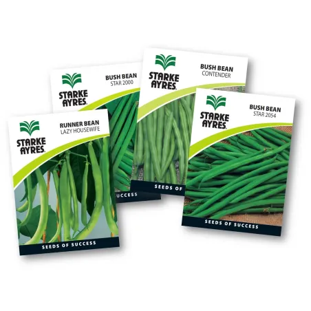 Seed Bean 0.5G,  - Cashbuild