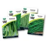 Seed Bean 0.5G,  - Cashbuild