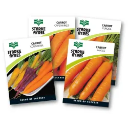 Seed Carrot 0.5G,  - Cashbuild
