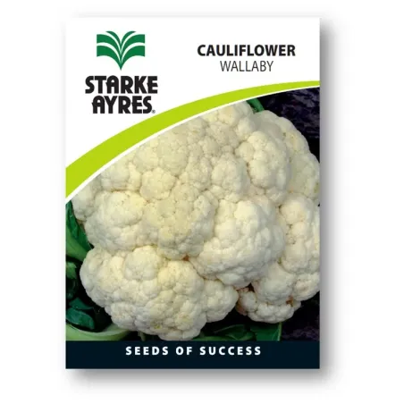 Seed Cauliflower 0.5G,  - Cashbuild