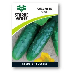 Seed Cucumber 0.5G,  - Cashbuild