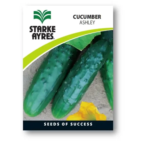 Seed Cucumber 0.5G,  - Cashbuild