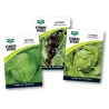 Seed Lettuce 0.5G,  - Cashbuild