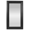 Framed Mirror 420mmx750mm Black