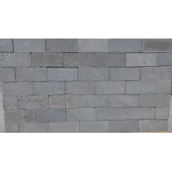 Brick Standard S14 220X100X70mm,  - Cashbuild