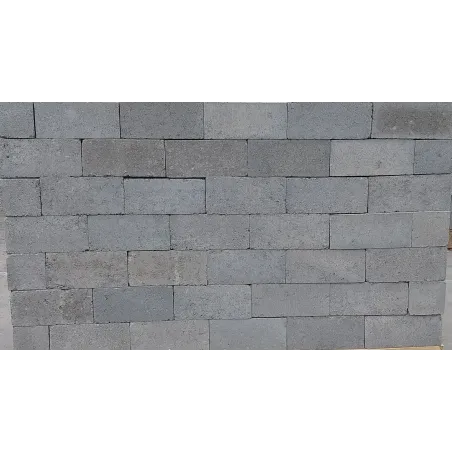 Brick Standard S14 220X100X70mm,  - Cashbuild