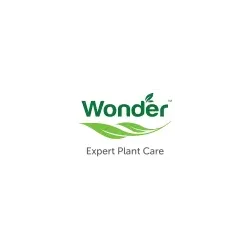 Wonder